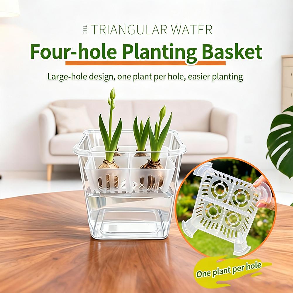 Net Pot 3 Inch - Maceta Hidropónica para Tulipanes, Maceta de