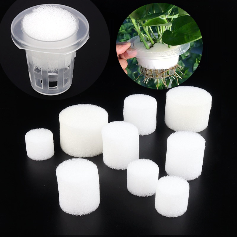 Net Pot 3 Inch - Esponja de taza de malla blanca