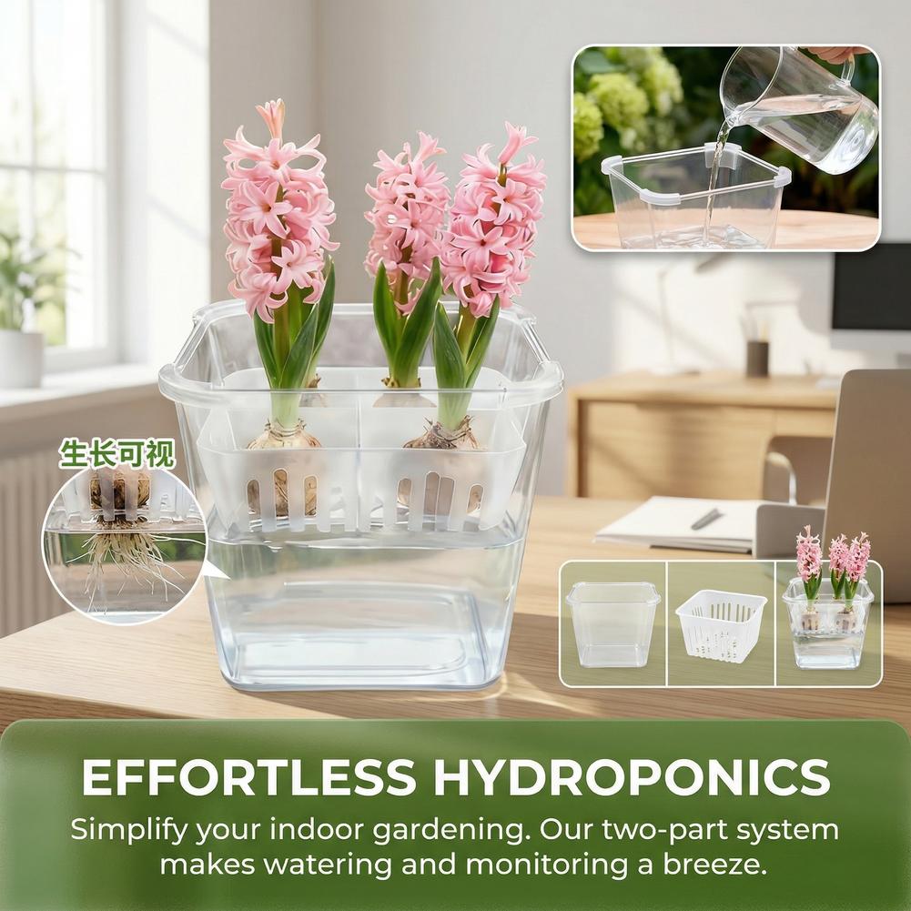 Maceta Hidropónica para Tulipa - Net Pot 3 Inch reseña y precio