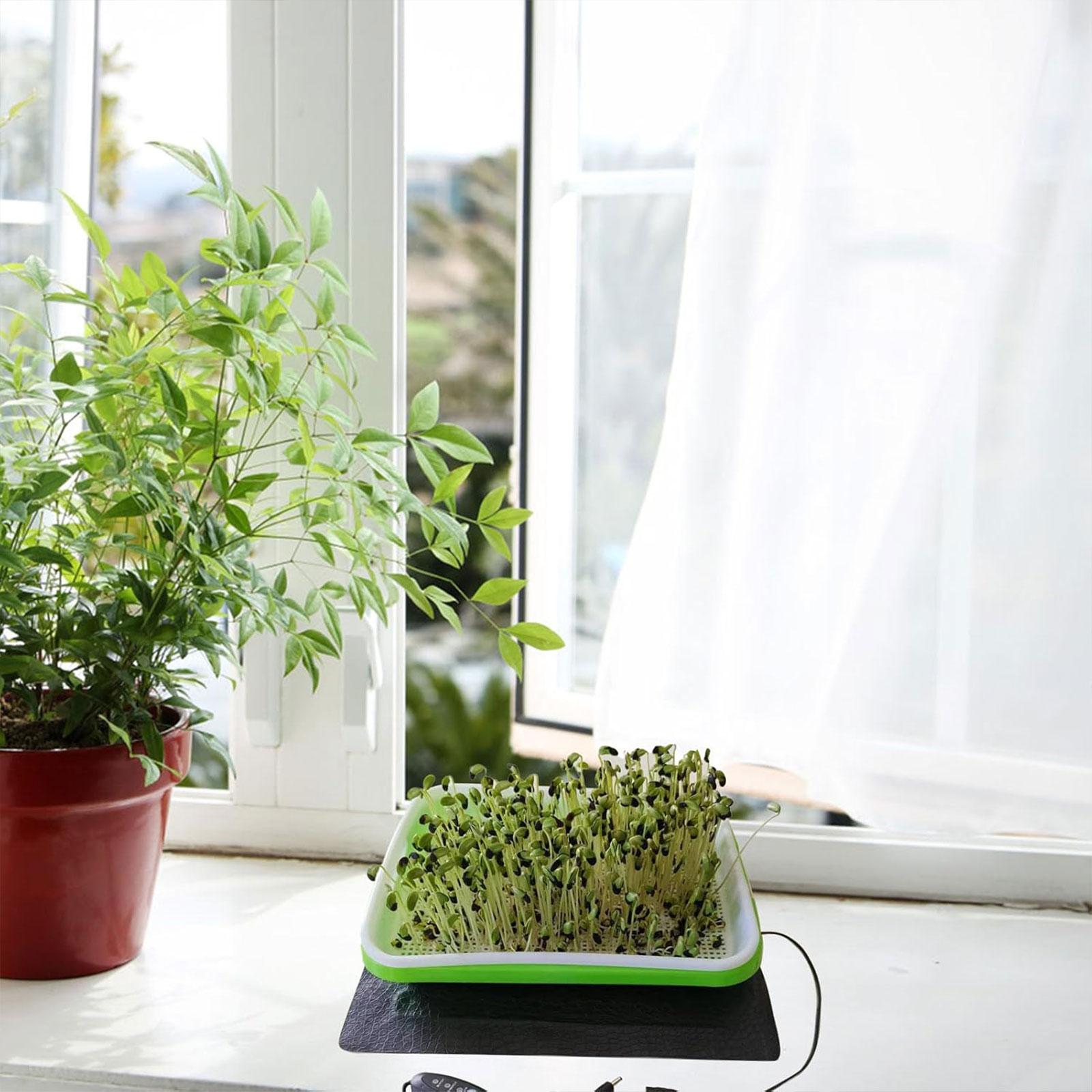 Alfombrilla Térmica Hidropónic - Seedling Heat Pad reseña y precio