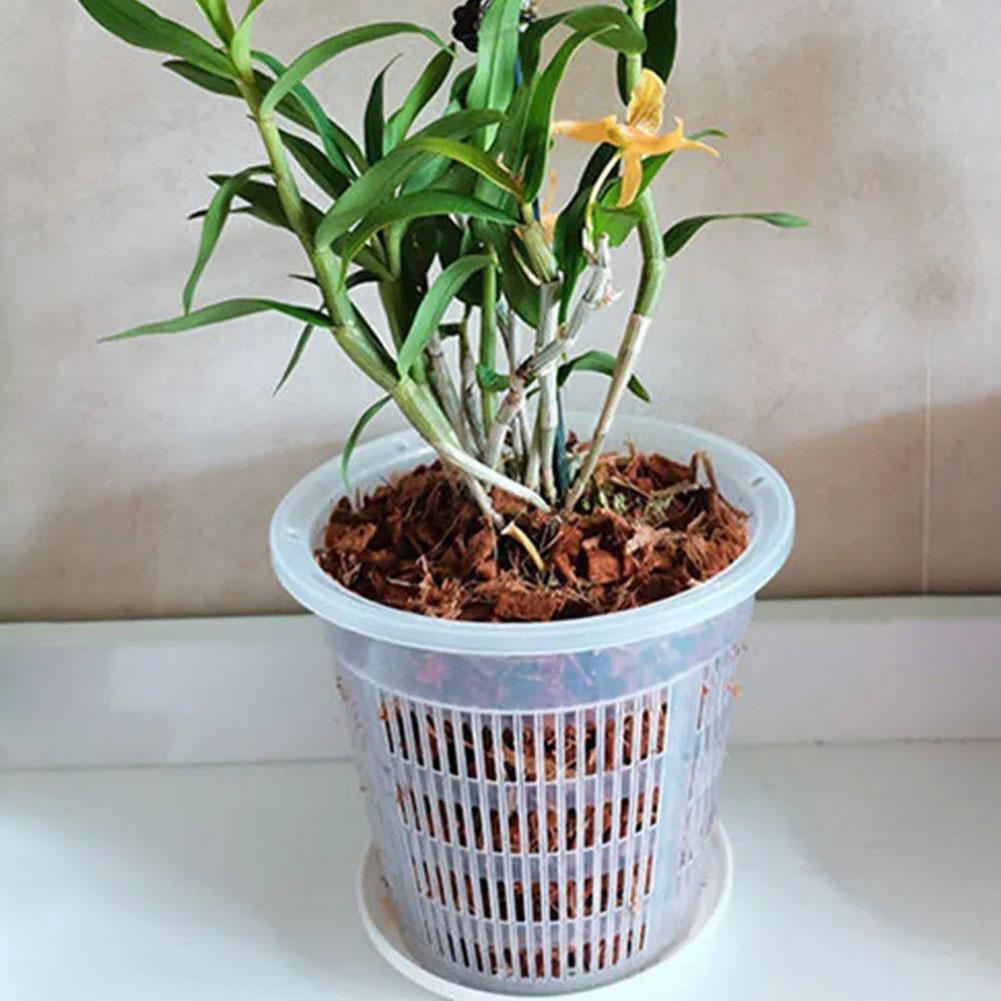 Maceta de malla transparente d - Net Pot 3 Inch reseña y precio