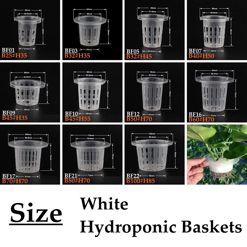 Cesta de malla hidropónica bla - Net Pot 3 Inch reseña y precio